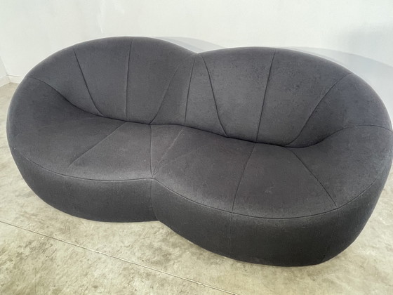 Image 1 of Linge Roset By Pierre Paulin 2 Seater Pumpkin