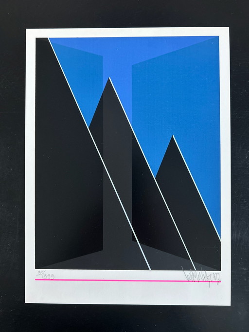 Screen print Wout Van Der Vet