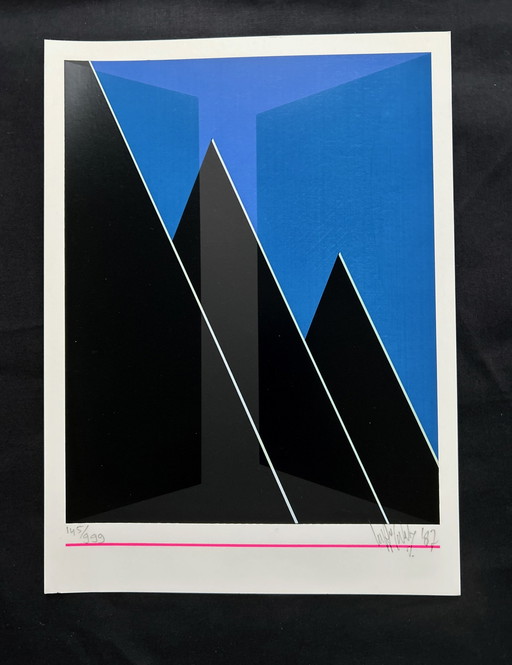 Screen print Wout Van Der Vet