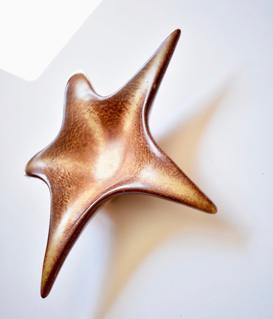 Image 1 of Roberto Rigon starfish bowl