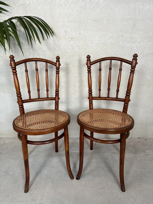 2X Fischel Chair