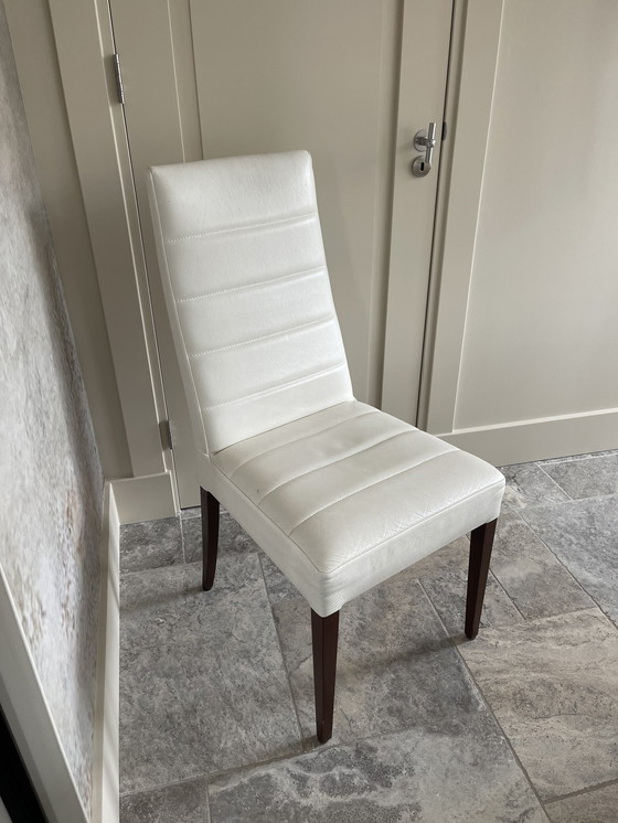 Image 1 of 6x Jan des Bouvrie Cordoba dining chair