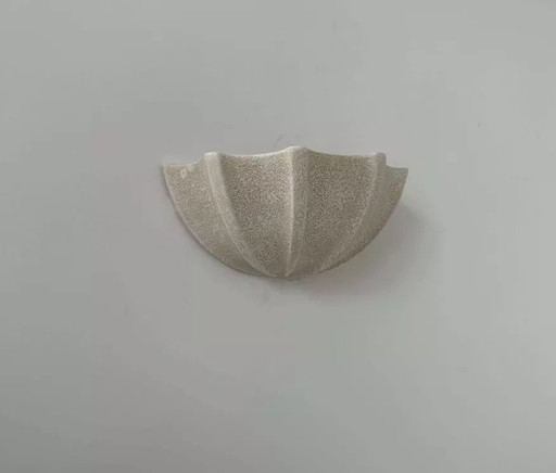 Coquillage Porcelaine, Beige Moucheté, France 1960