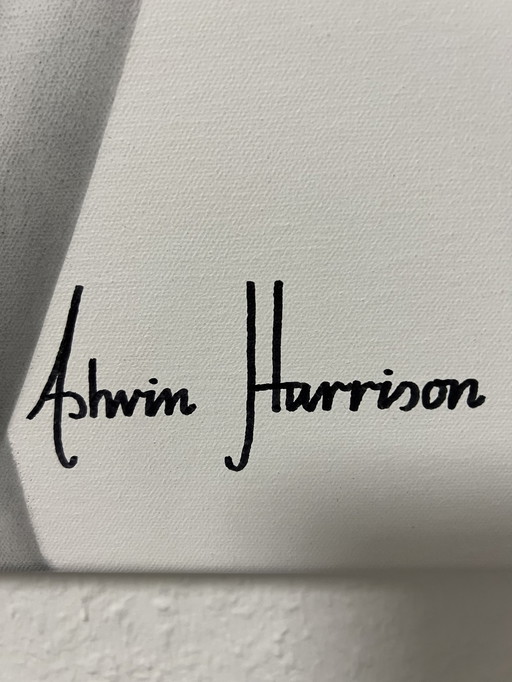 Ashvin Harrison Originalbild