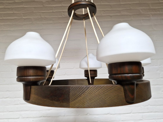 Image 1 of Rare Aneta Mid - Century Pendant Lamp, Sweden 1960s