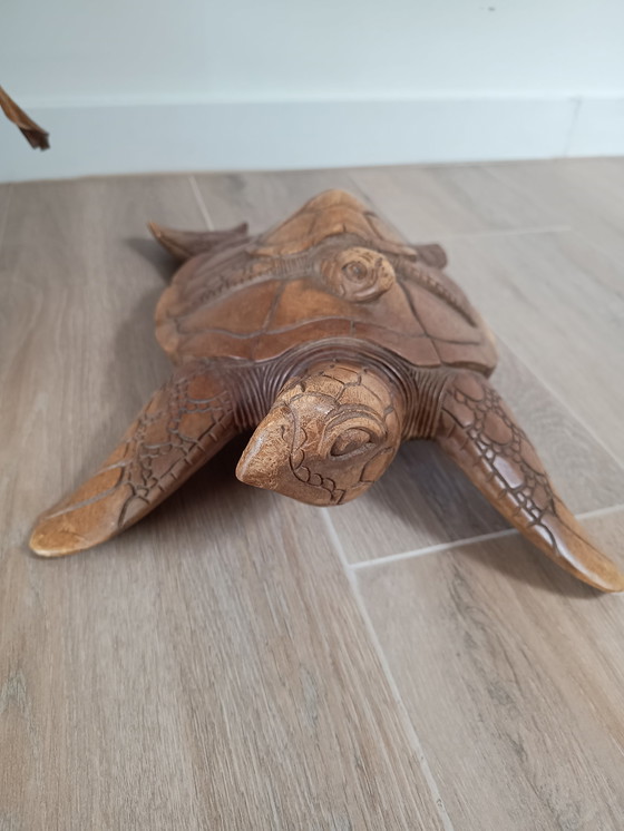 Image 1 of Tortue de mer Woorden