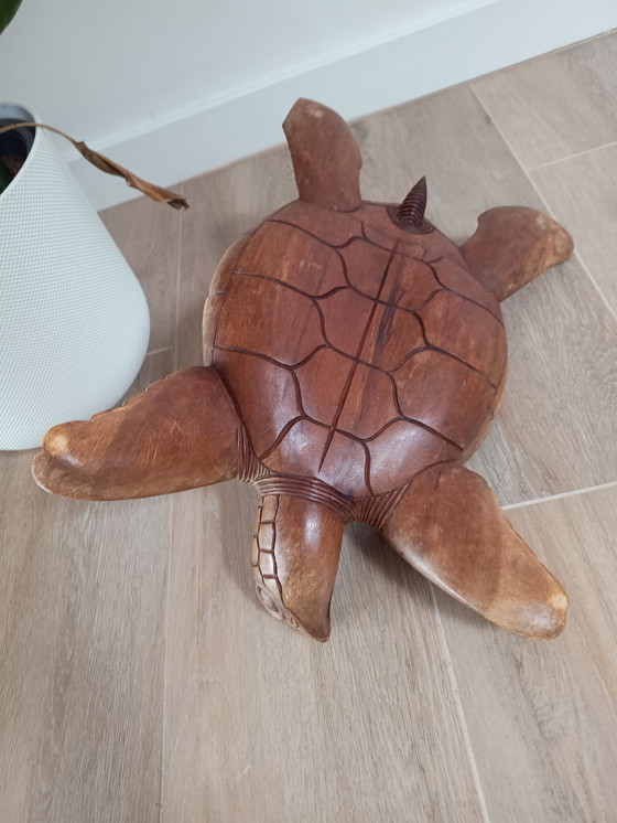 Image 1 of Tortue de mer Woorden