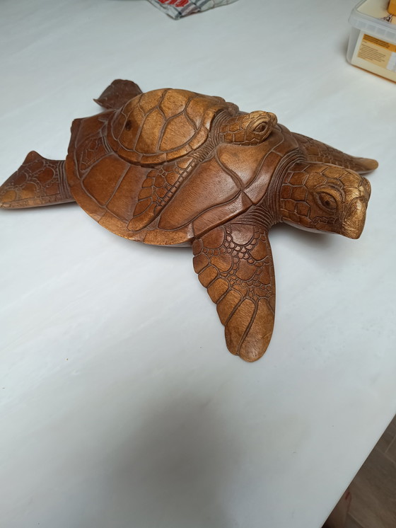 Image 1 of Tortue de mer Woorden