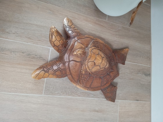 Image 1 of Tortue de mer Woorden