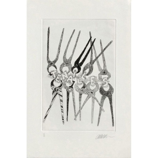 Grabado antiguo "Tenailles" de Fermandez Arman, 1994