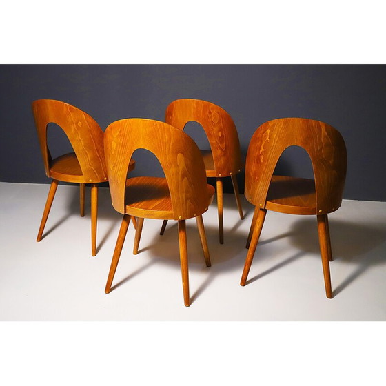 Image 1 of Set of 4 vintage beech wood chairs by Antonín Šuman, Czechoslovakia