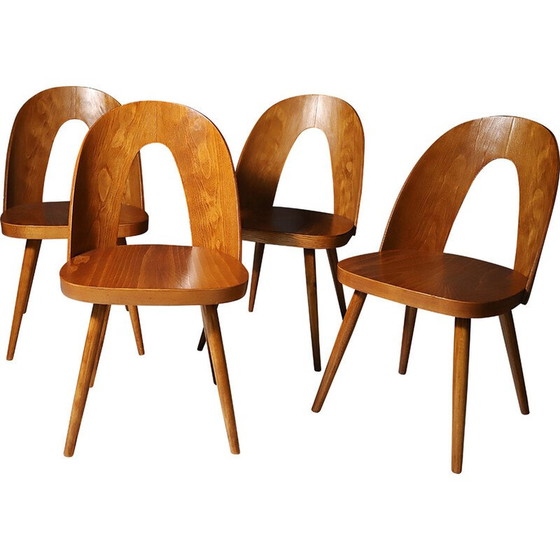 Image 1 of Set of 4 vintage beech wood chairs by Antonín Šuman, Czechoslovakia