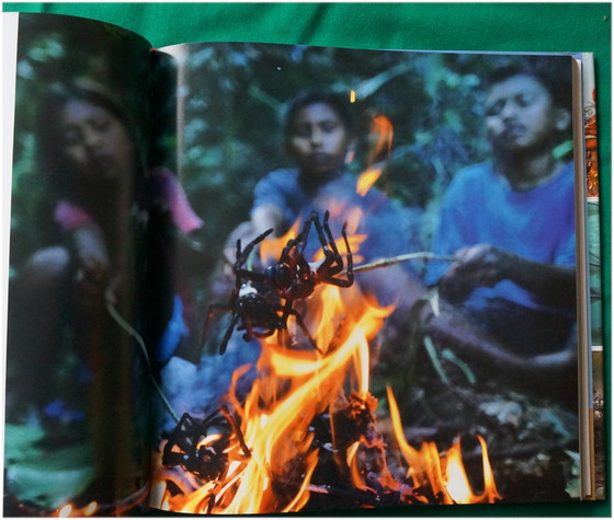 Image 1 of HumanPlanet book