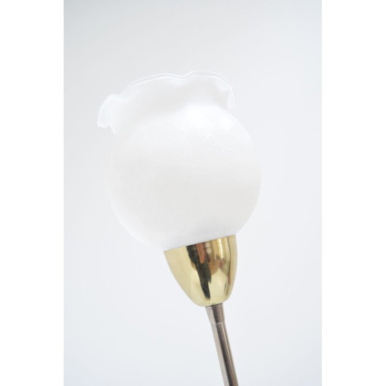 Image 1 of Vintage floor lamp in glass, ceramic and steel by Kamenicky Senov, Czechoslovakia 1960,