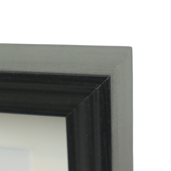 Image 1 of Framed Butterflies Golden Birdwing