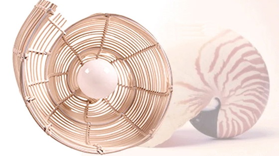 Image 1 of Ceiling light Shell Bamboo Rattan