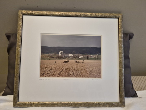 Image 1 of A rare set of 6 framed Amish photographs, 4 signed by the photographer Us Photographer Bill Coleman & 2 unsigned.