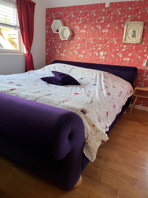 Auping Purple Velvet Bed