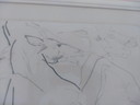 Lithographie d'Octave Landuyt "Chevaux