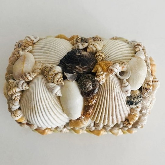 Image 1 of Shell jewelry box with aquarium