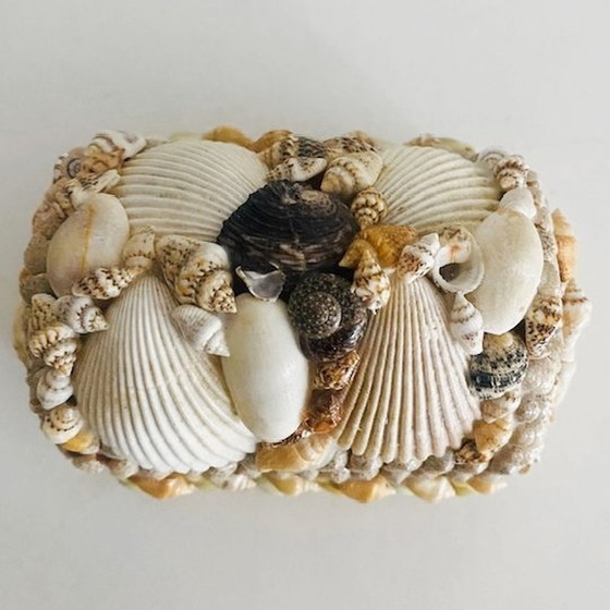Image 1 of Shell jewelry box with aquarium