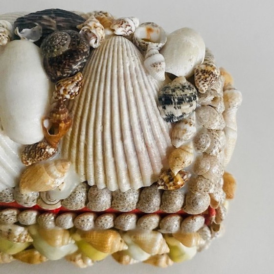 Image 1 of Shell jewelry box with aquarium