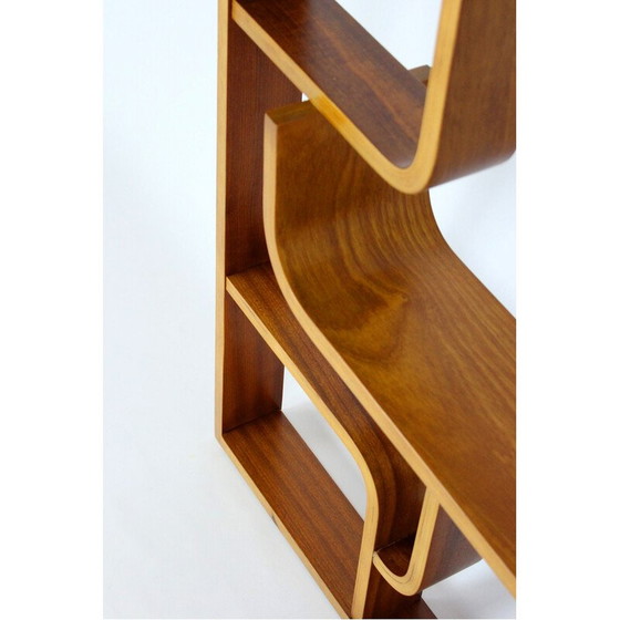 Image 1 of Mid-century room divider by Ludvik Volak for Drevopodnik Holesov, 1960s