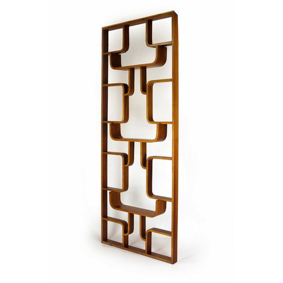 Image 1 of Mid-century room divider by Ludvik Volak for Drevopodnik Holesov, 1960s