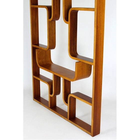 Image 1 of Mid-century room divider by Ludvik Volak for Drevopodnik Holesov, 1960s