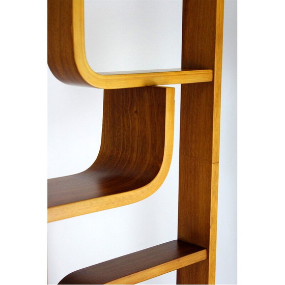 Image 1 of Mid-century room divider by Ludvik Volak for Drevopodnik Holesov, 1960s