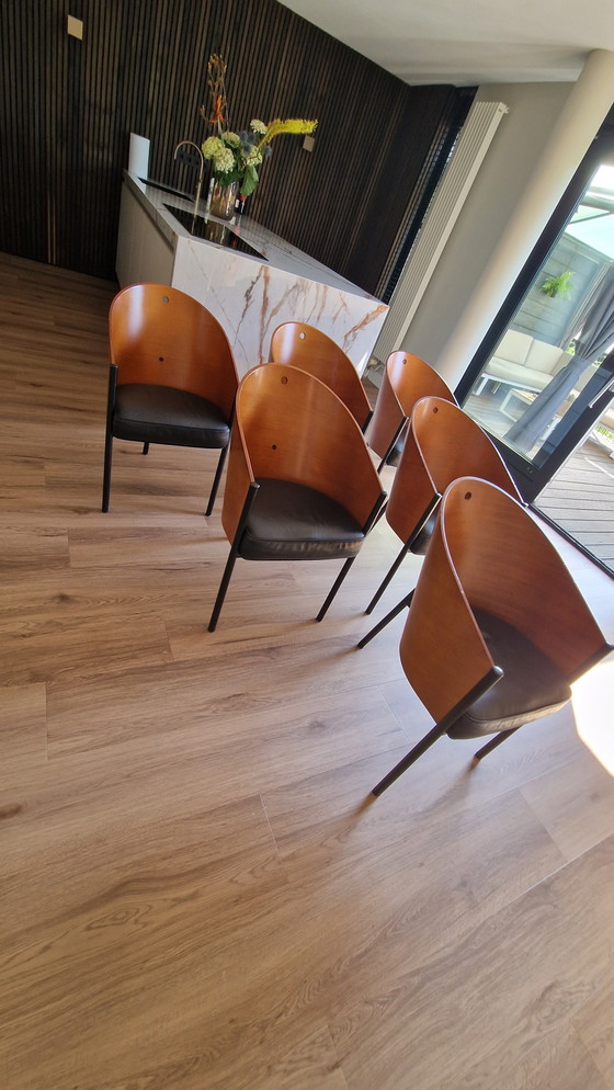 Image 1 of 6x Philippe Starck Costes chair