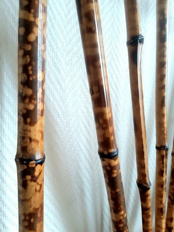 Image 1 of Vestiaire Art Nouveau Coat Rack In Tiger Bamboo