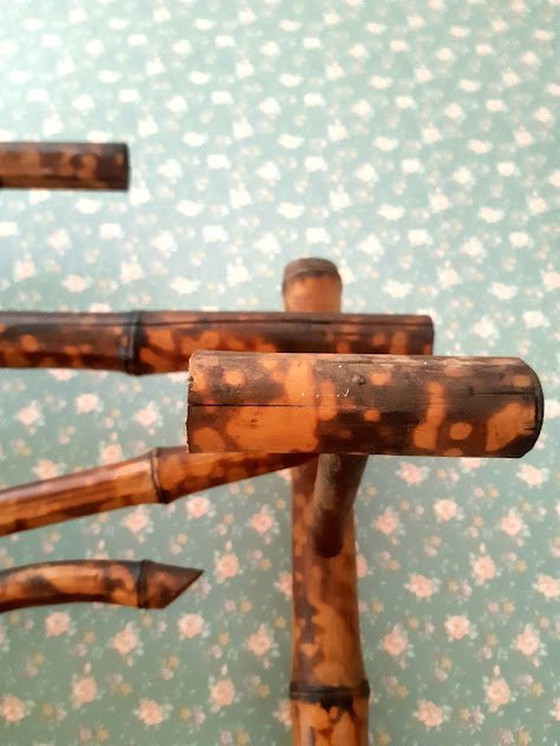 Image 1 of Vestiaire Art Nouveau Coat Rack In Tiger Bamboo