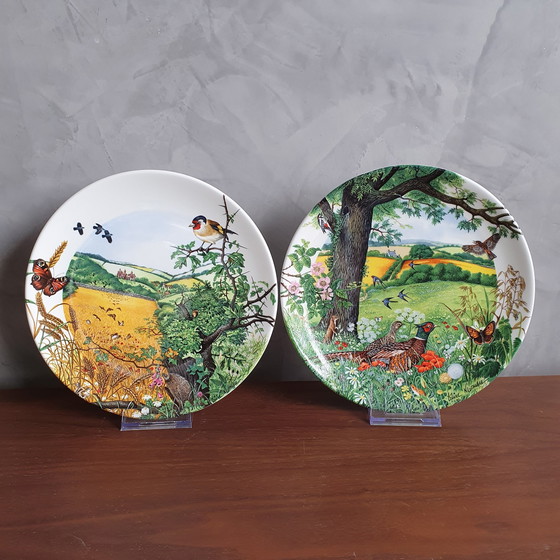 Image 1 of Platos de porcelana Wedgewood (2 piezas), década de 1980