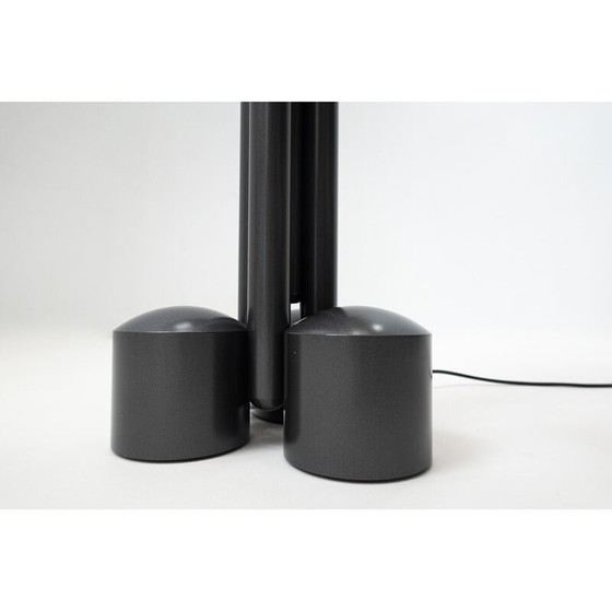 Image 1 of Vintage Lte 13 "Porcino" floor lamp by Luigi Caccia Dominioni, Italy 1960s