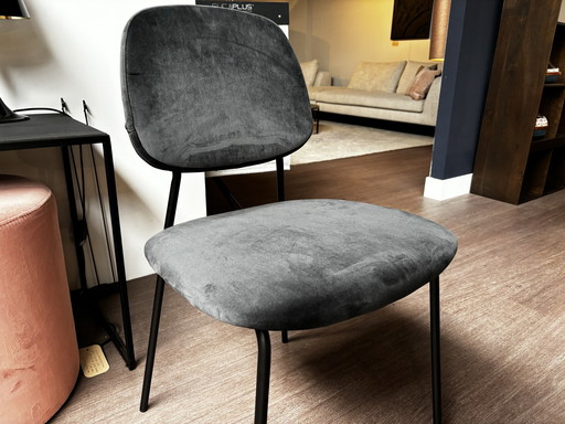 3x Chair Pieter Velvet