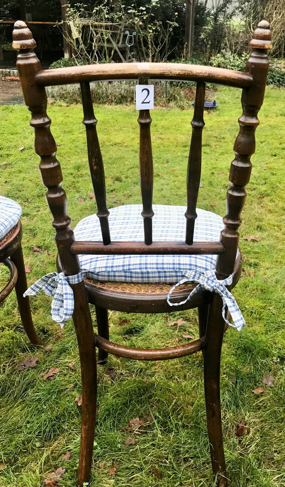 Image 1 of 6 sedie Thonet Bistro