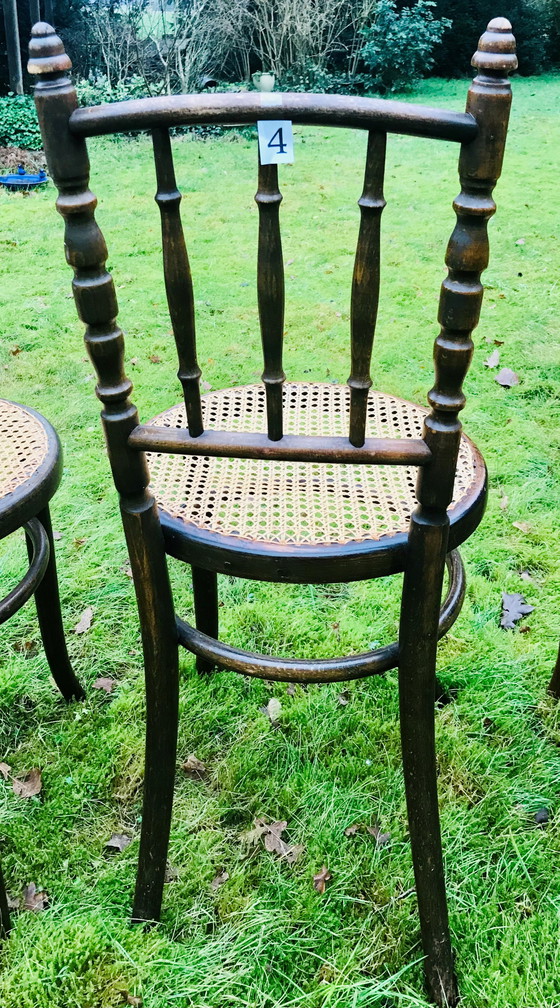 Image 1 of 6 sedie Thonet Bistro