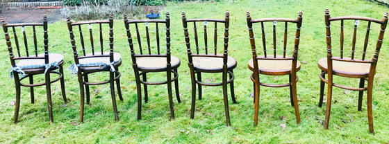 Image 1 of 6 sedie Thonet Bistro