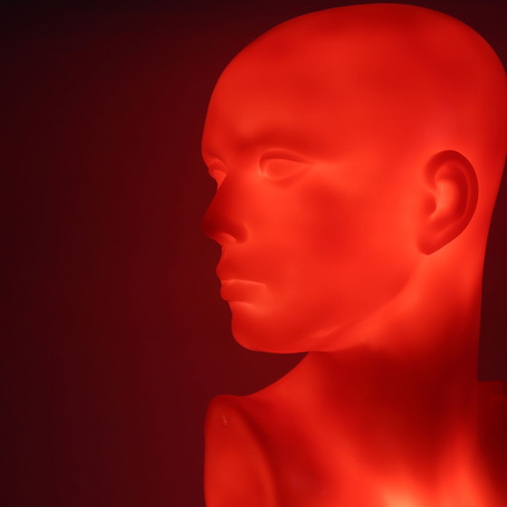 Image 1 of Lampada a busto vintage