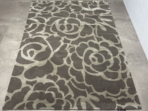 Wool rug Brink and Campman Elegance 160 x 230