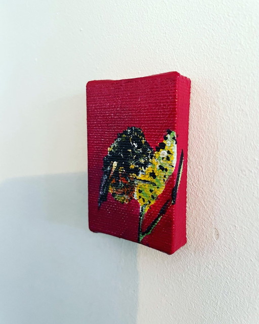 Britt Kleiberg - Portrait of a Mason Bee