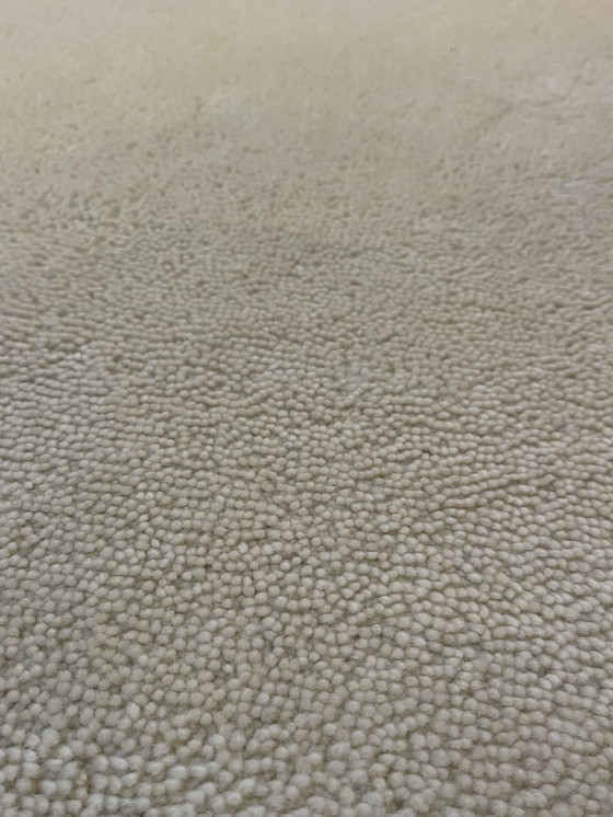 Image 1 of Brink & Campman Beach carpet