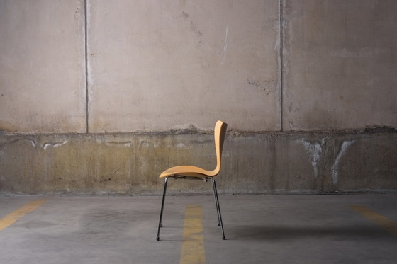 Image 1 of Arne Jacobsen Chaise Fritz Hansen Série 7