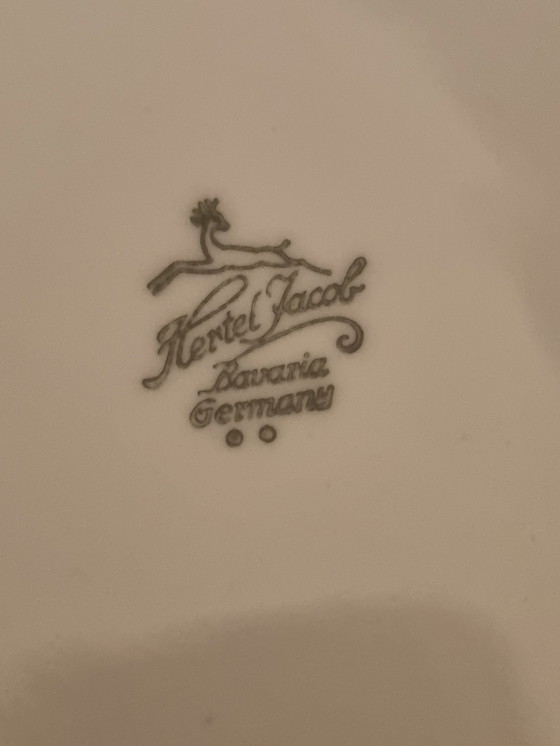 Image 1 of Beautiful Vintage Hertel Jacob Dinnerware Early 1960s