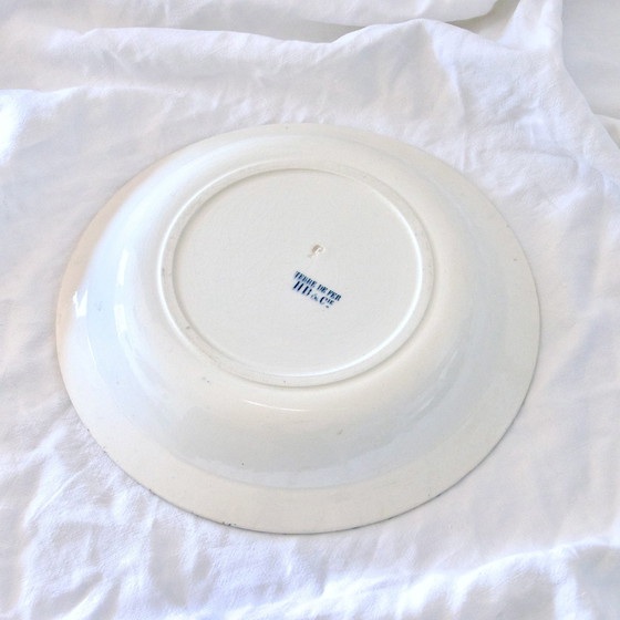 Image 1 of Piatto fondo/Insalatiera XIX secolo Ferro Terra Uccelli Choisy-Le-Roi Hb &amp; C