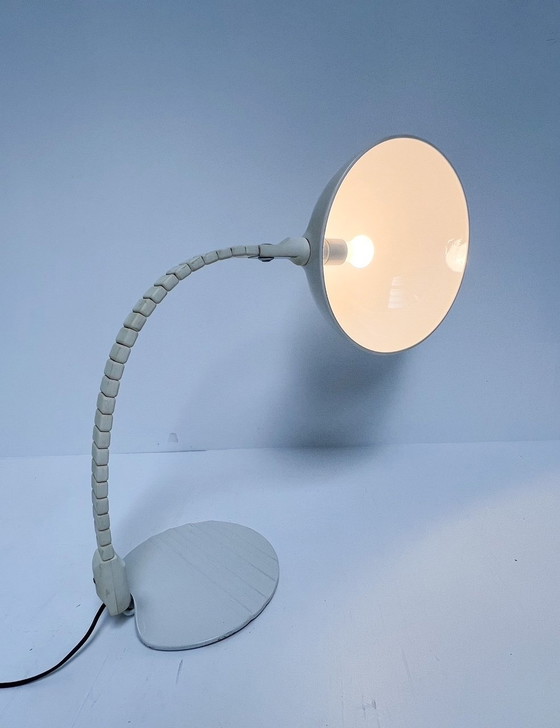 Image 1 of Flex Shell Xl Desk Lamp By Martinelli Luce Model 660