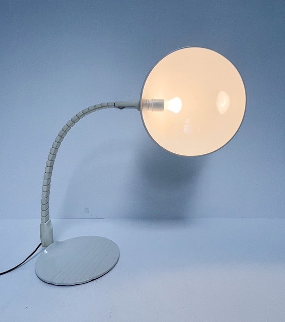 Image 1 of Flex Shell Xl Desk Lamp By Martinelli Luce Model 660