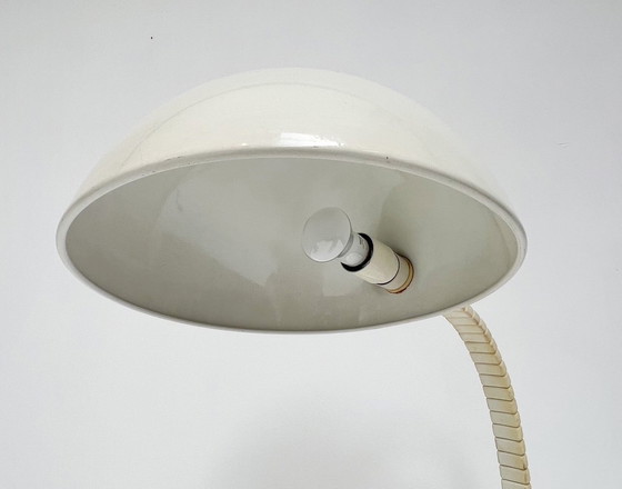 Image 1 of Flex Shell Xl Desk Lamp By Martinelli Luce Model 660