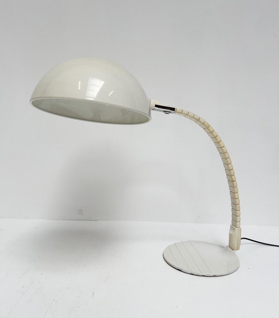 Image 1 of Flex Shell Xl Desk Lamp By Martinelli Luce Model 660